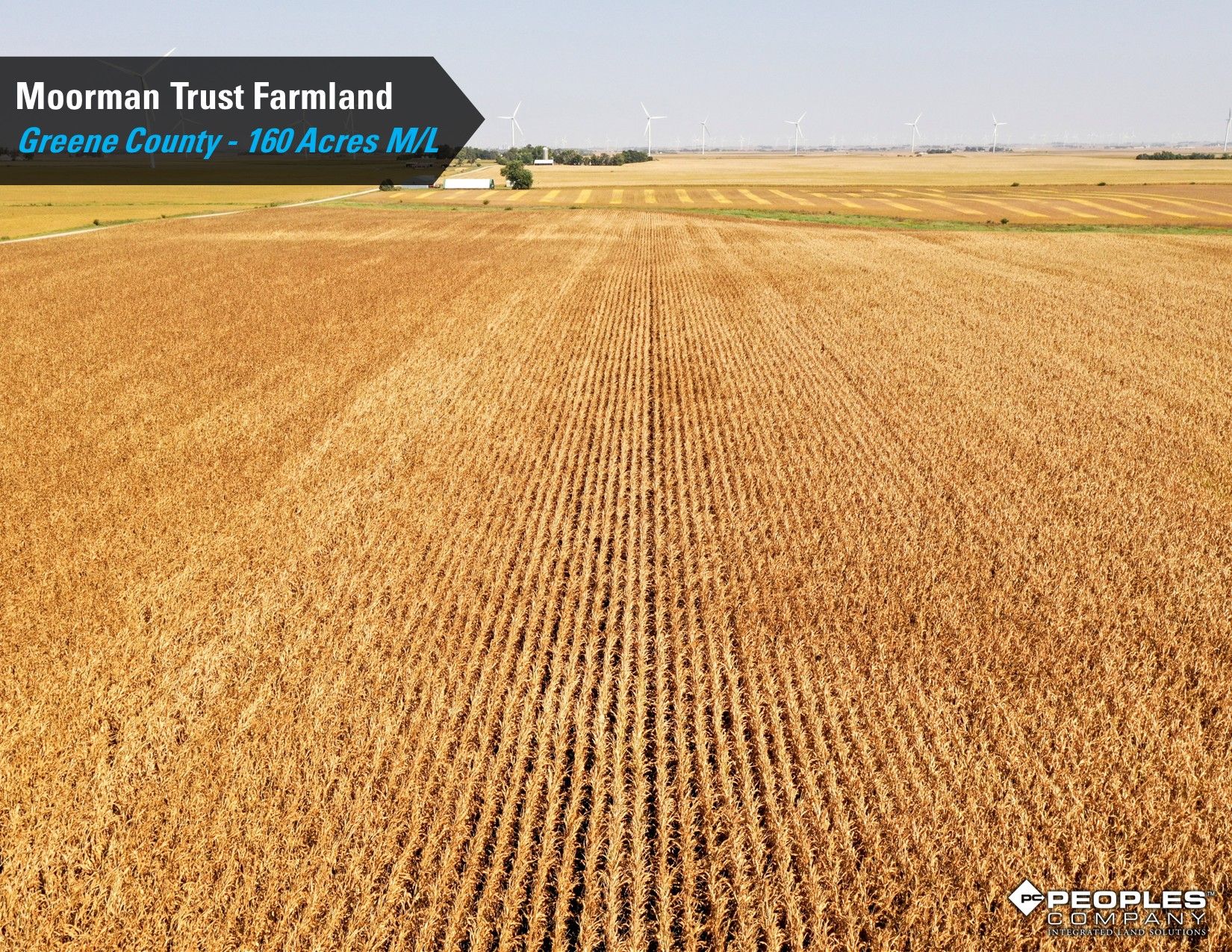 Listing Photo: Greene-County-Iowa-Farmland-Auction-160-Acres-Moorman-Rippey-IA-18618 (10)